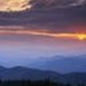 Meet your Posher, Sheila